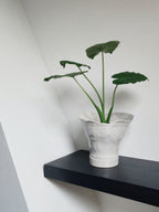 Cala Planter