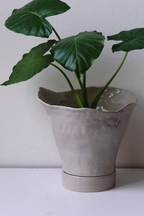 Cala Planter