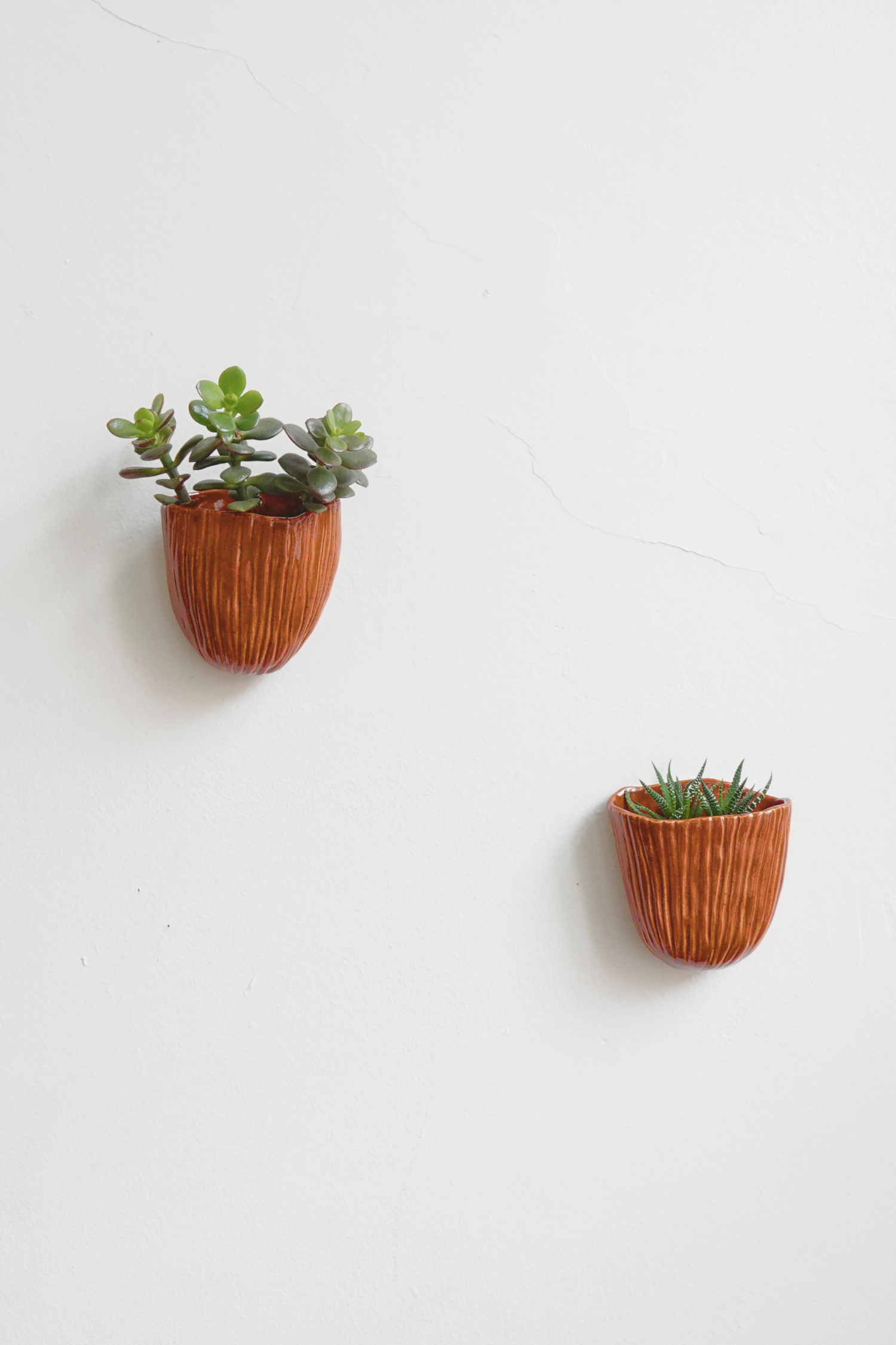 Senda Wall Planter Set