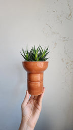 Cinnamon Cima Planter