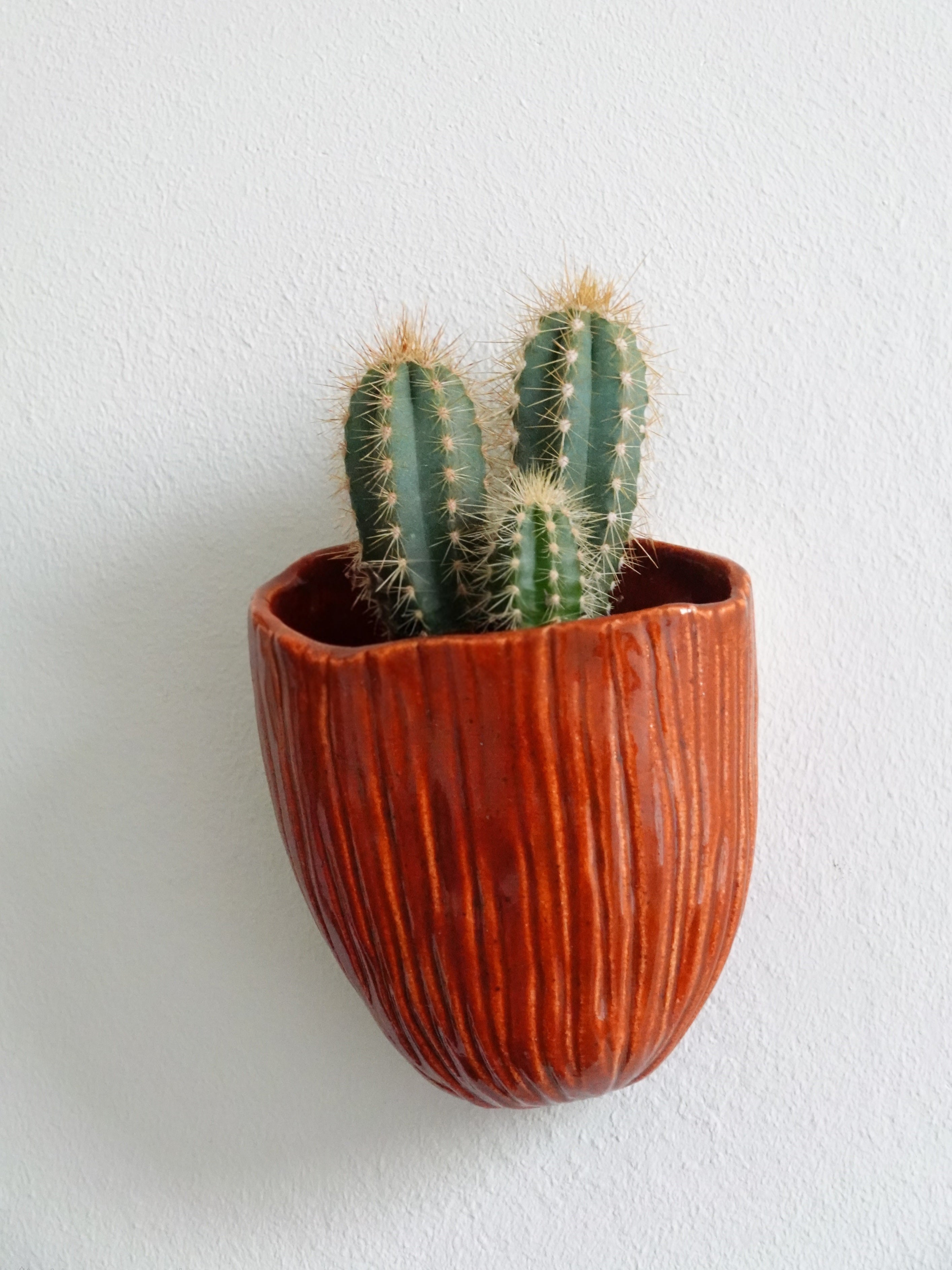Senda Wall Planter Set