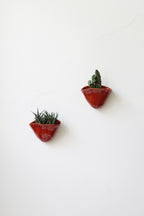 Sora Wall Planter