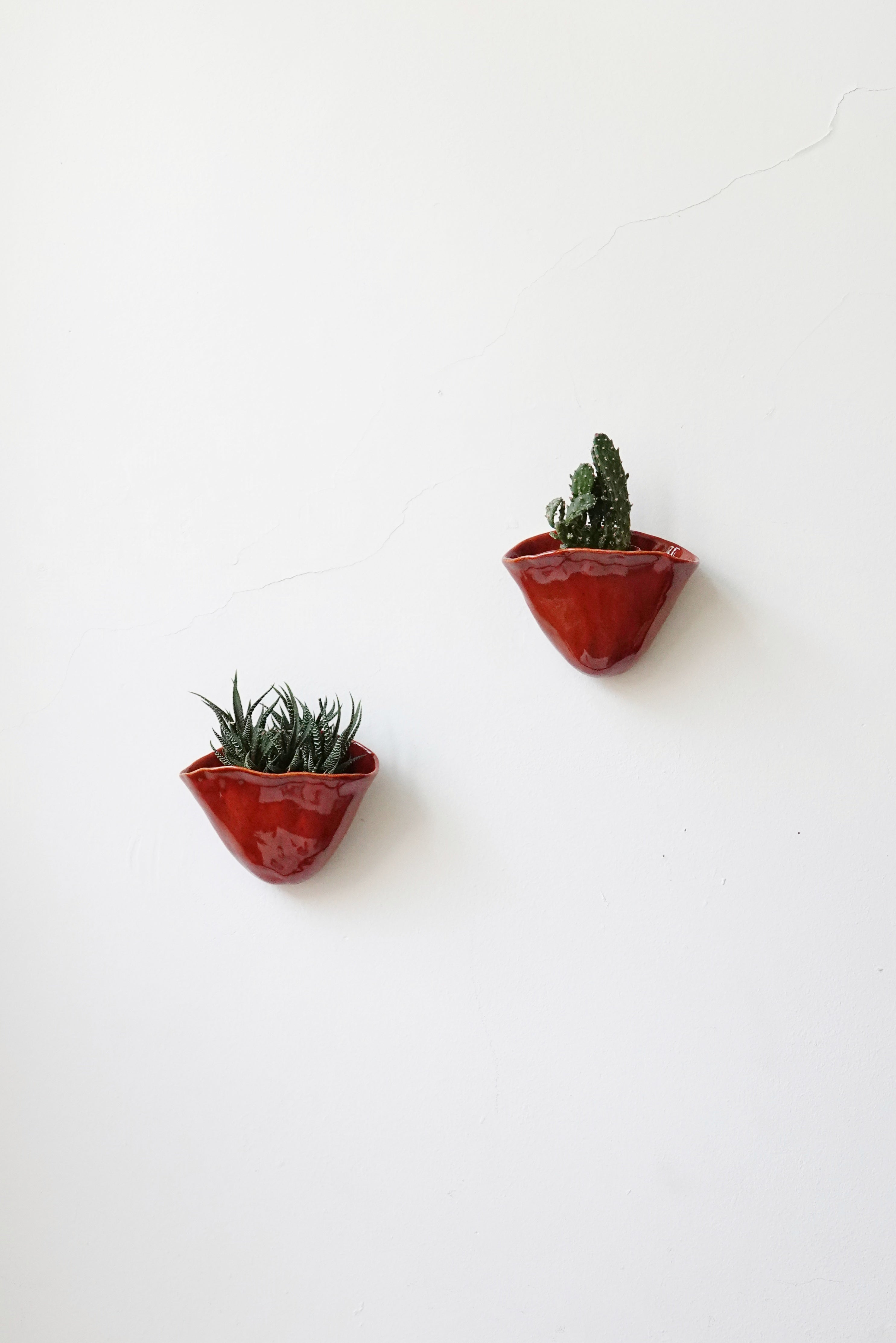 Sora Wall Planter